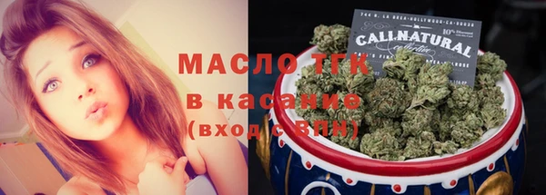 индика Бикин