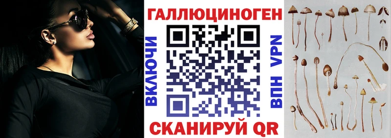 Галлюциногенные грибы MAGIC MUSHROOMS  Нефтекумск 