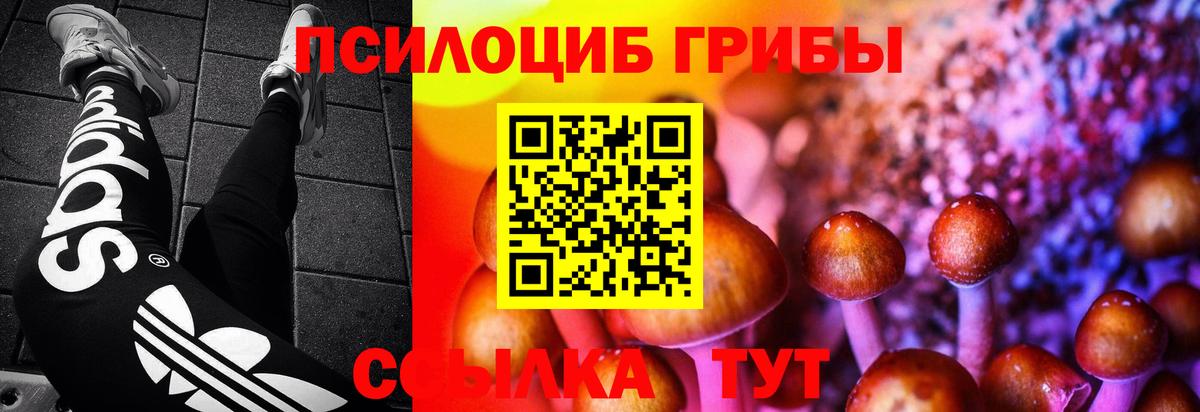 Галлюциногенные грибы MAGIC MUSHROOMS  как найти наркотики  Псилоцибиновые грибы Psilocybine cubensis  Нефтекумск  Вход с VPN 