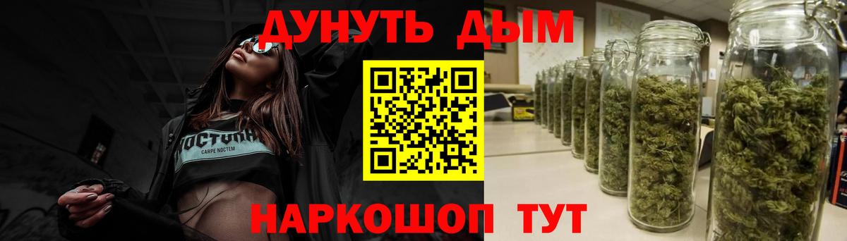 Бошки марихуана Amnesia  Каннабис конопля  Нефтекумск  Каннабис план  Вход с VPN 